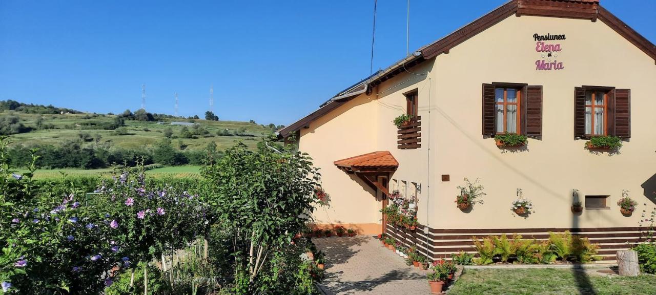 Pensiunea Elena Si Maria Saschiz Exterior photo